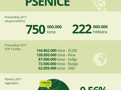 Infografika globalne proizvodnje pšenice