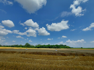 Tvrtka Mauthner na 30. Jesenskom međunarodno bjelovarskom sajmu