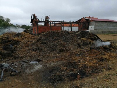Pšenica u privatnom skladištu, otkupa nema