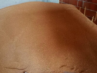 Pšenica u privatnom skladištu, otkupa nema