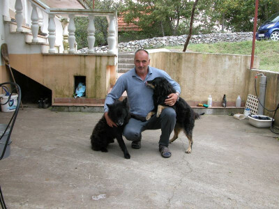 Zoranovi ljubimci Cigo i Gala