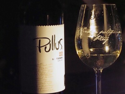 Ptujska klet - vinarija