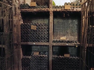 Ptujska klet - vinarija