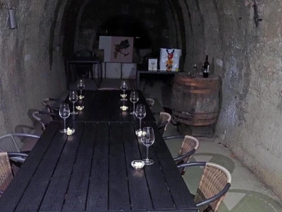 Ptujska klet - vinarija