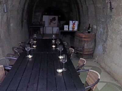 Ptujska klet - vinarija