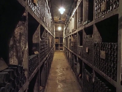 Ptujska klet - vinarija