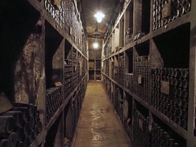 Ptujska klet - vinarija