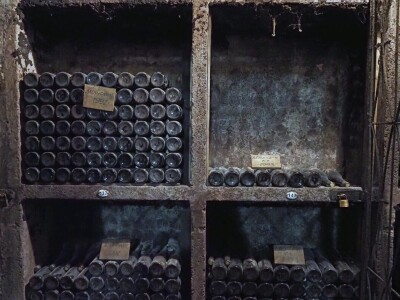 Ptujska klet - vinarija