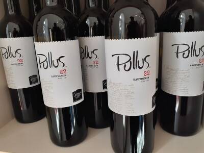 Ptujska klet - vinarija