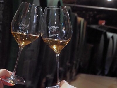 Ptujska klet - vinarija