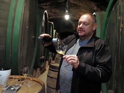 Ptujska klet - vinarija