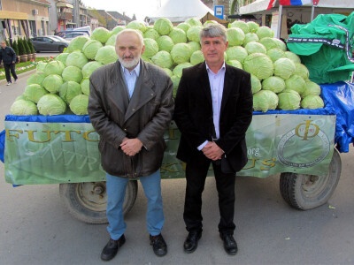 Goran Puača i Miroljub Janković, &quot;Futoški kupus&quot;