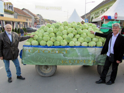 Goran Puača i Miroljub Janković, &quot;Futoški kupus&quot;