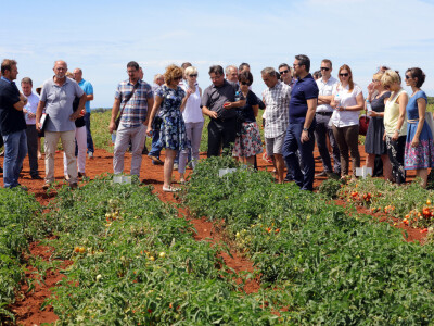 Prvi rezultati ukazuju na rekordan prinos