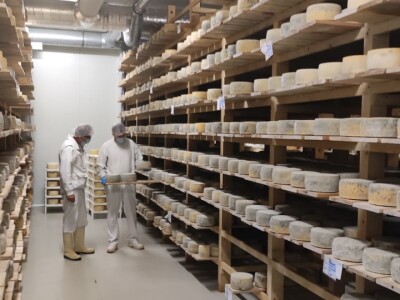 Nove vrste sira iz sirane u Čaporicama