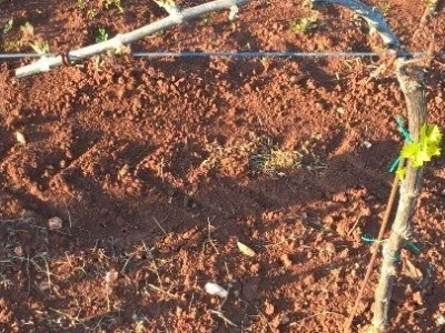 Štete u Puli