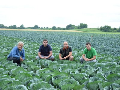 Obitelj Puljić proizvodi kupus i poriluk