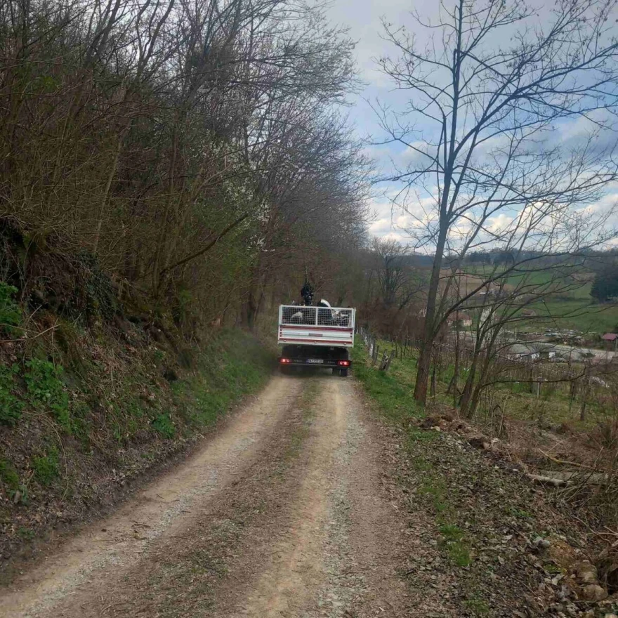 Smeće se odvozi