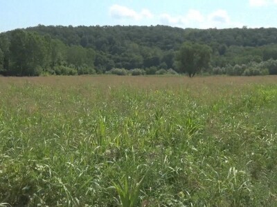 Put ili poljoprivredna proizvodnja