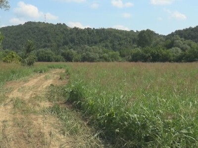 Put ili poljoprivredna proizvodnja