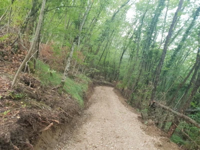 Put tartufa
