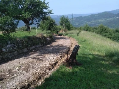 Put tartufa