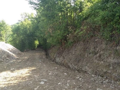 Put tartufa