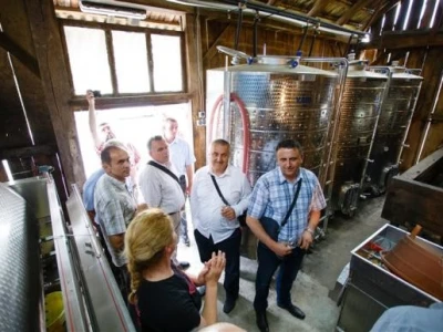 Putevi vina 2014.