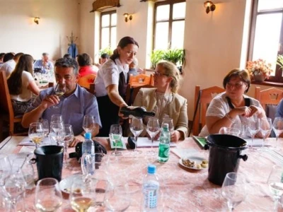 Putevi vina 2014.