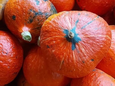 Putujuće lubenice i mandarine iz zlatne doline