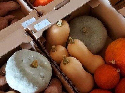 Putujuće lubenice i mandarine iz zlatne doline