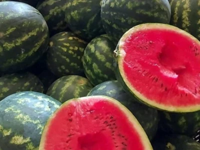 Putujuće lubenice i mandarine iz zlatne doline