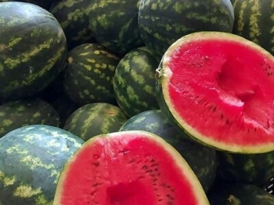 Putujuće lubenice i mandarine iz zlatne doline