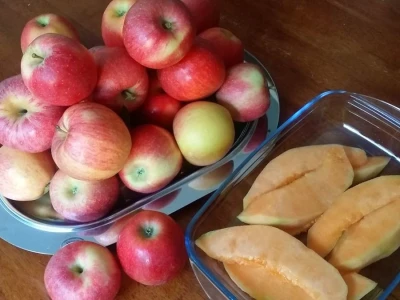 Putujuće lubenice i mandarine iz zlatne doline