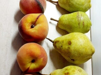 Putujuće lubenice i mandarine iz zlatne doline