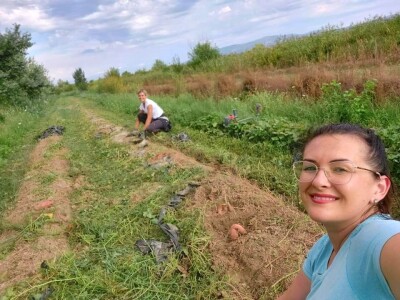 Putujuće lubenice i mandarine iz zlatne doline