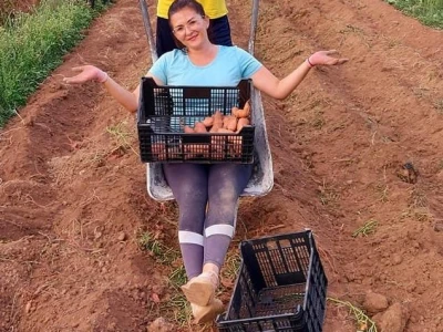 Putujuće lubenice i mandarine iz zlatne doline