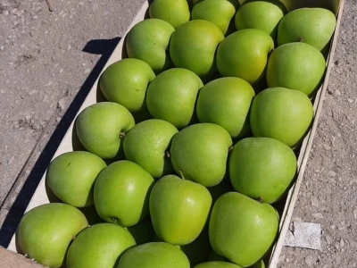 Putujuće lubenice i mandarine iz zlatne doline