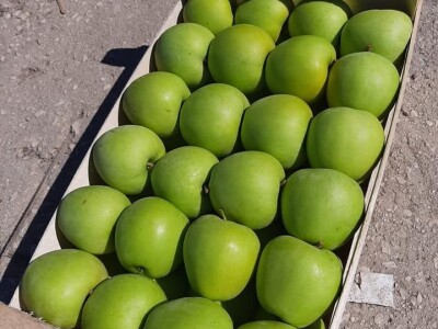 Putujuće lubenice i mandarine iz zlatne doline