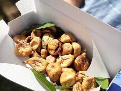 Putujuće lubenice i mandarine iz zlatne doline