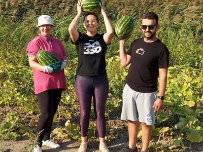 Putujuće lubenice i mandarine iz zlatne doline