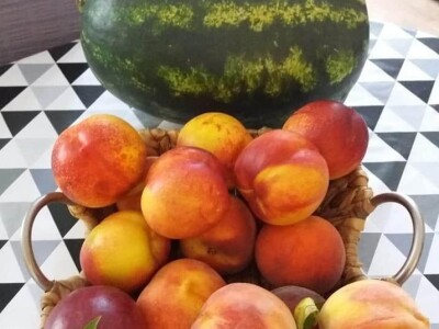 Putujuće lubenice i mandarine iz zlatne doline