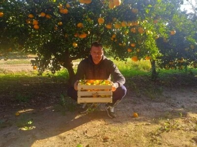 Putujuće lubenice i mandarine iz zlatne doline