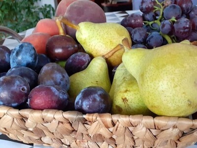 Putujuće lubenice i mandarine iz zlatne doline