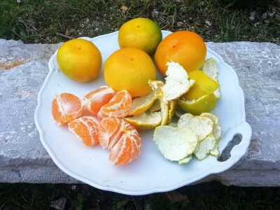 Putujuće lubenice i mandarine iz zlatne doline