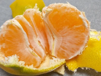 Putujuće lubenice i mandarine iz zlatne doline