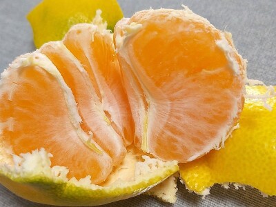 Putujuće lubenice i mandarine iz zlatne doline