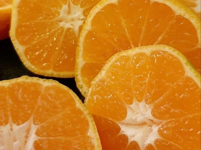 Putujuće lubenice i mandarine iz zlatne doline
