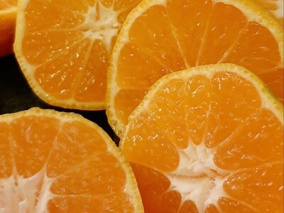 Putujuće lubenice i mandarine iz zlatne doline