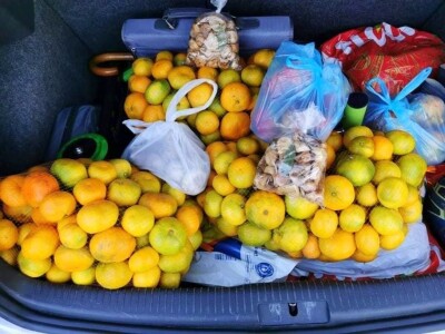 Putujuće lubenice i mandarine iz zlatne doline